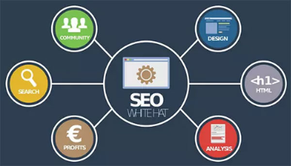 SEO、優(yōu)化、網(wǎng)站優(yōu)化